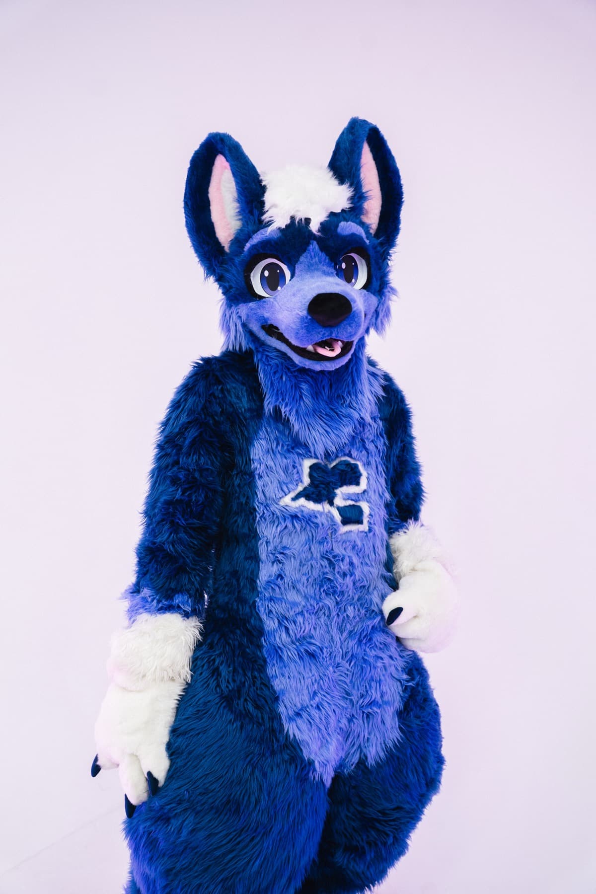 Link, the Fanlock Furry mascot