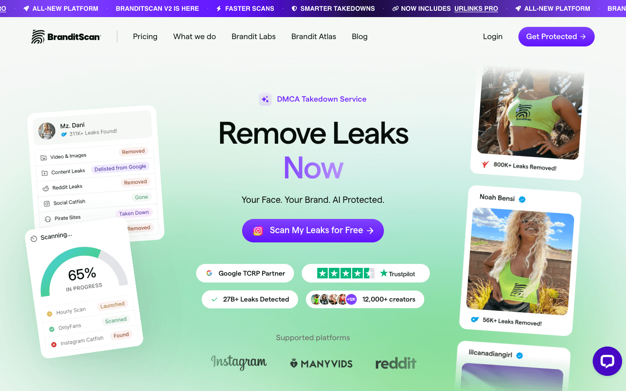 BrandItScan homepage